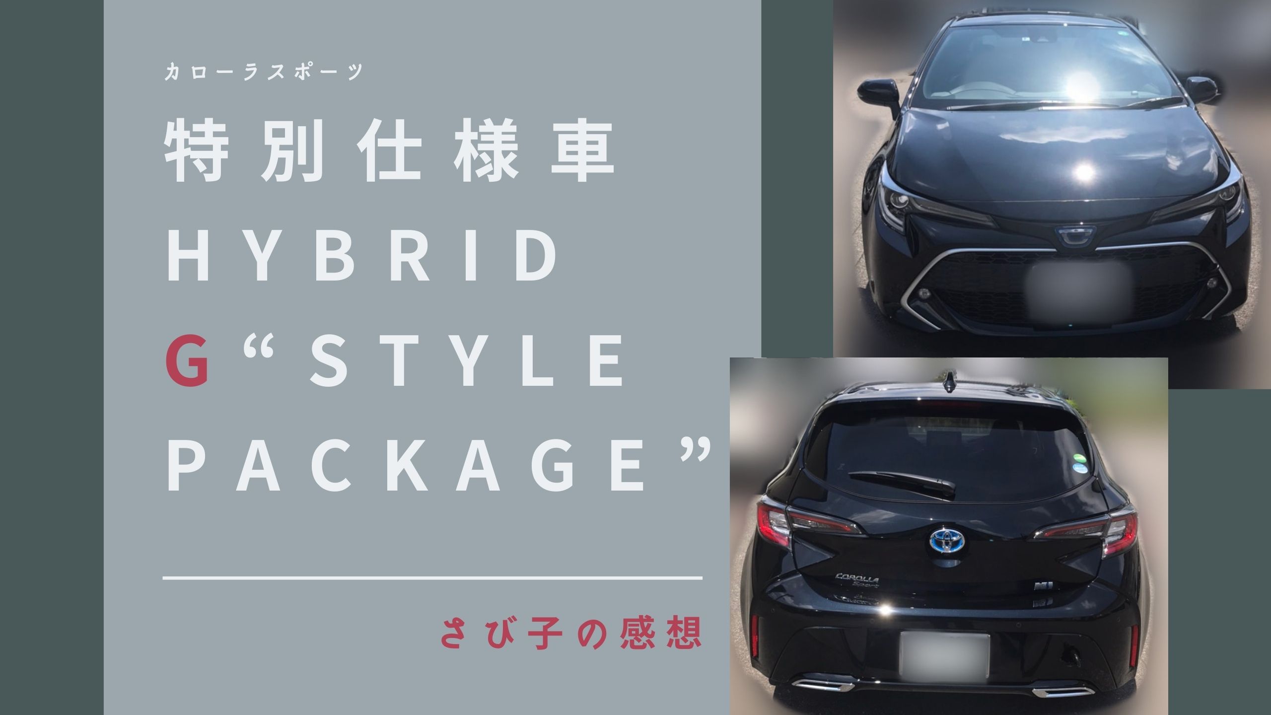 感想 特別仕様車 Hybrid G Style Package はいいぞぅ カロスポを愛でる会